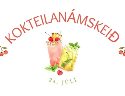 Kokteilanámskeið